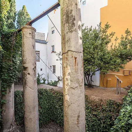 Casa Senorial En Centro,calle Marmoles 公寓